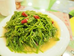 -泸沽肴(泸沽湖大洛水村农村信用社旁店)