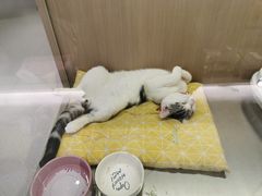 -北大资源博雅城