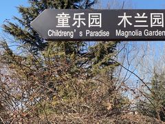 -济南植物园