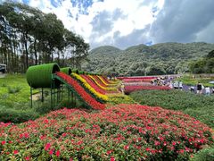 -广州市石门国家森林公园