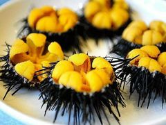 马粪海胆-必点海鲜·鲅鱼水饺(鞍山西道店)