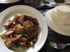 -绿光森林餐厅