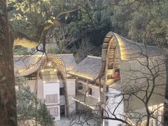 -巴倒烫陆派重庆火锅(南山店)