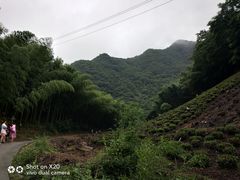 -水墨汀溪风景区