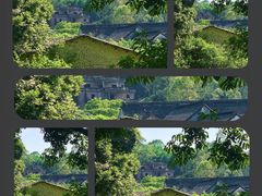 -黄埔油麻山森林公园