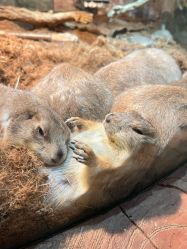 -Zoolung Zoolung动物主题公园(海信广场店)