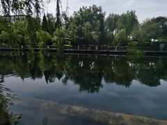 -环城公园