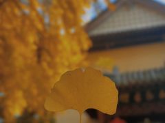 -郑和公园