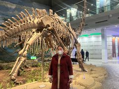 -自贡恐龙博物馆