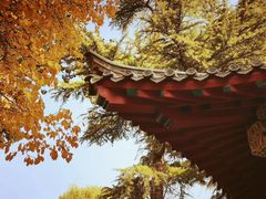 -趵突泉景区