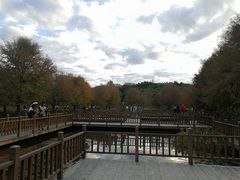 -五缘湾湿地公园