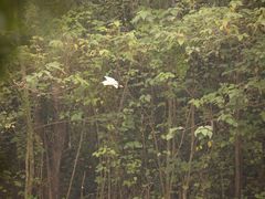 -白鹭湾湿地公园