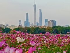 -海珠湖公园