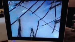 -罗亚帝造型