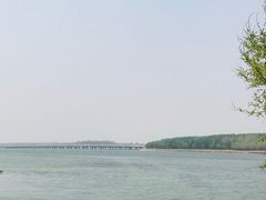 -丁香湖公园