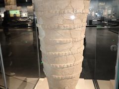 -盘龙城国家考古遗址公园