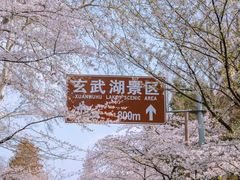 -鸡鸣寺