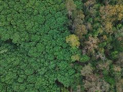 -东莞植物园