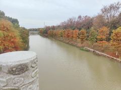 -上海海湾国家森林公园