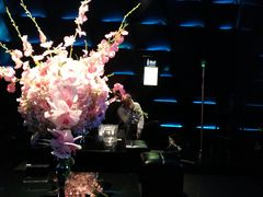 -黑桃K生日订制KTV