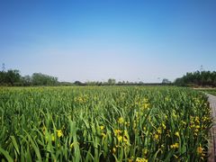 -永定河休闲森林公园