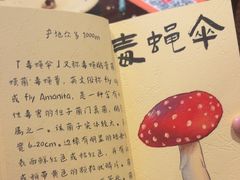 -滇野云南野生菌餐厅(陕西南路店)