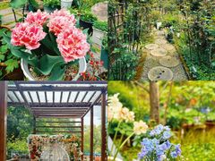 -谷咖啡·鲜花绿植花园餐厅