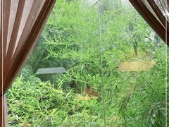 -竹雨堂创意中国菜(裕华店)
