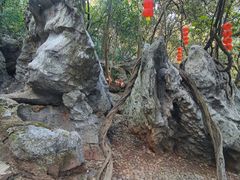 -杭州西湖风景名胜区-三生石