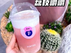 -PINTEA LAB(北京路店)