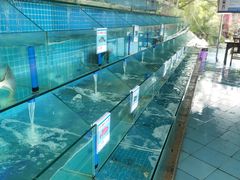 -琼大师东方烤乳猪(亚特兰蒂斯店)