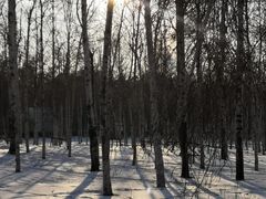 -长春市南湖公园