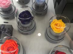 -ROSEONLY诺誓(沈阳万象城店)