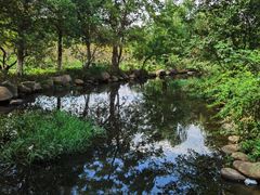 -白马涧龙池景区