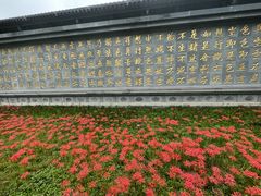 -西安大兴善寺