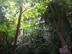-呀路古热带植物园