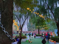 -卓悦童国际幼儿园