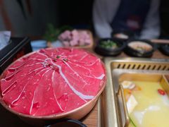 -九鼎轩脆毛肚火锅(三钢里店)