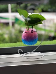 -爱贝蕊恩韩式月子会所(南山店)