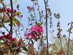 -后襄河公园