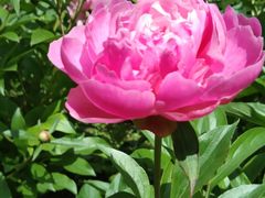 -狼山风景名胜区