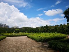 -南沙蒲洲花园