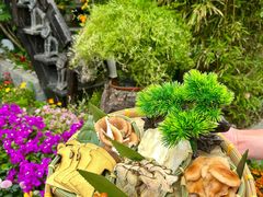 -慢丽江·云南野生菌土鸡锅(付家庄店)