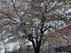 -曲阜师范大学(曲阜校区)