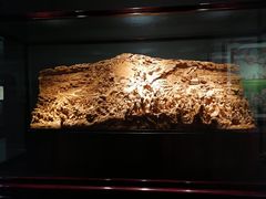 -上海市龙华烈士陵园