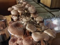 -大头椰·椰子鸡火锅(南宁万象城店)