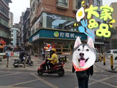 -柠檬树茶餐厅(海雅缤纷城店)