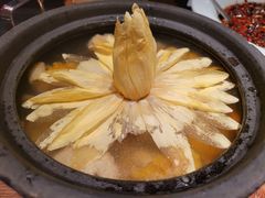 出水芙蓉-映水芙蓉(长宁来福士店)