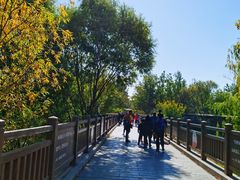 -北京麋鹿生态实验中心