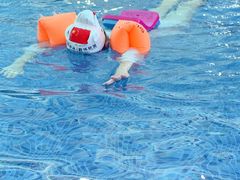 -鲨鱼游泳培训中心